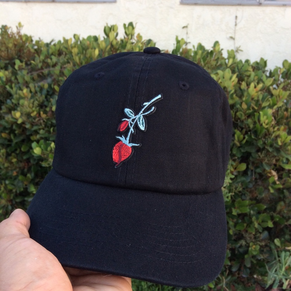 Upside Down Dad Hat NWT